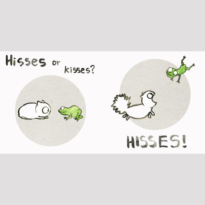 hisses or kisses example page cat frog