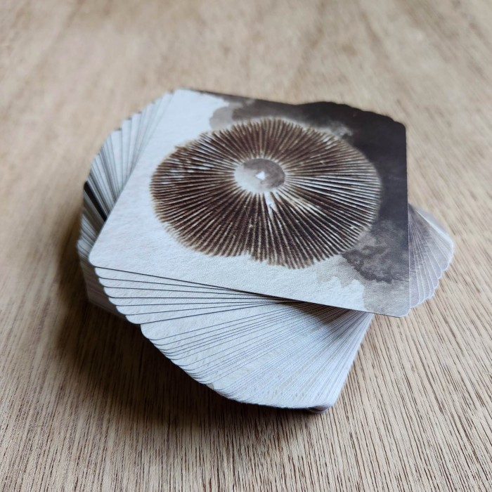 mykologia unique hand illustrated mushroom fungi themed oracle deck divination tarot fortune telling back side of card spore print