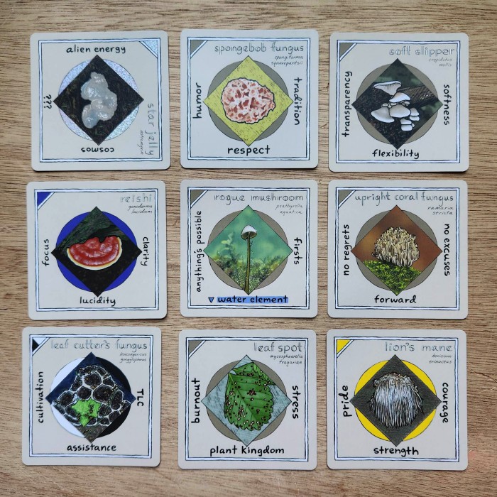 mykologia unique hand illustrated mushroom fungi themed oracle deck divination tarot fortune telling