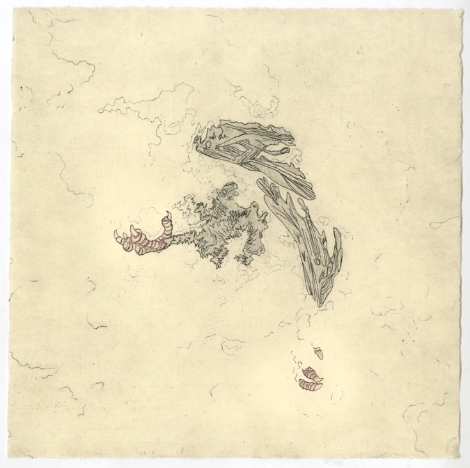 intaglio line drawing pigeon dead snow winter buried