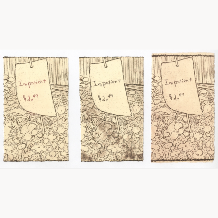 intaglio print pun funny flowers impatients label impatient