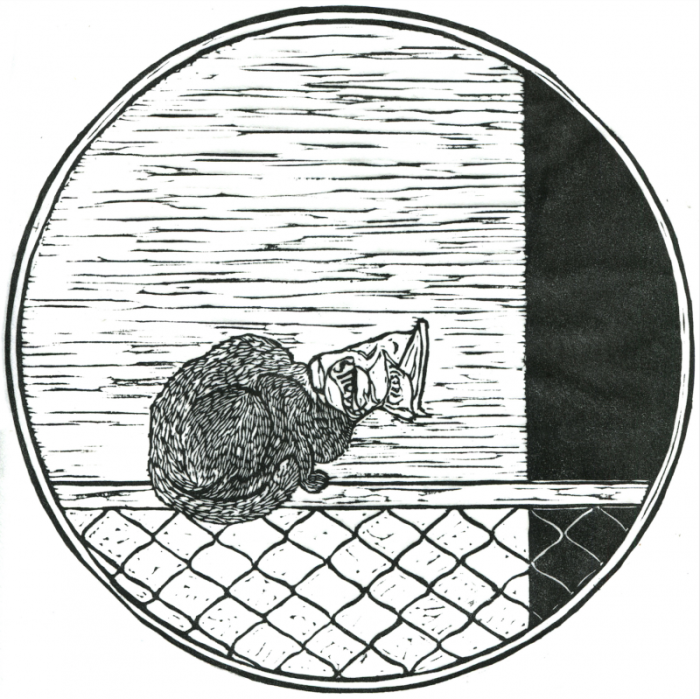 linocut cat sitting on fence with bag stuck on its head funny