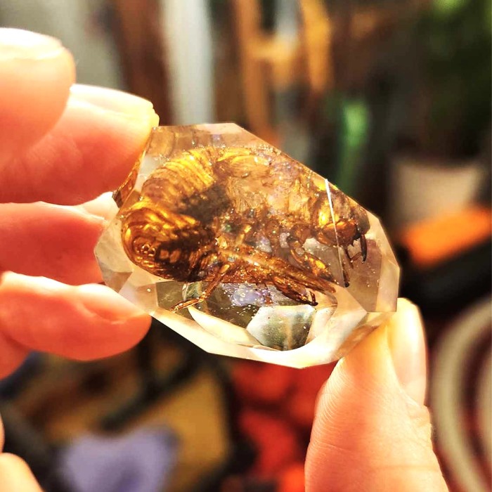 resin crystal epoxy gem talisman faceted cicada shell witchy magical